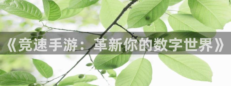 三牛娱乐是网络诈骗平台吗：《竞速手游：革新你的数字世界》
