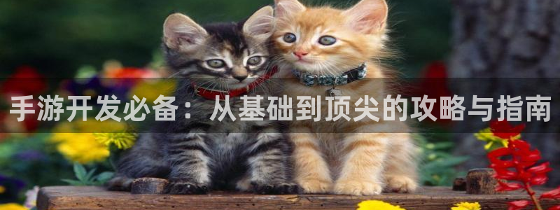 江苏三牛：手游开发必备：从基础到顶尖的攻略与指南