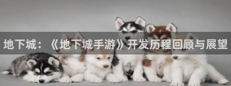 三牛娱乐测速系统app：地下城：《地下城手游》开发历程回顾与