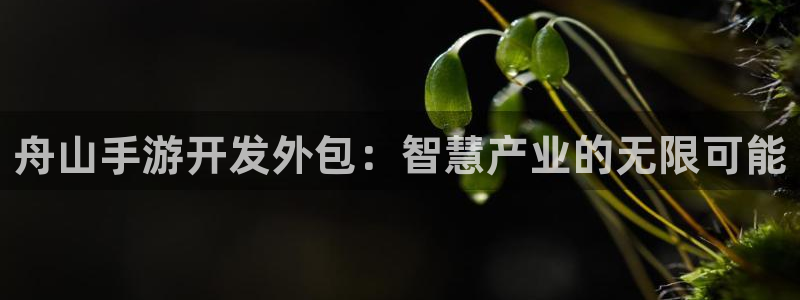 三牛娱乐管网：舟山手游开发外包：智慧产业的无限可能