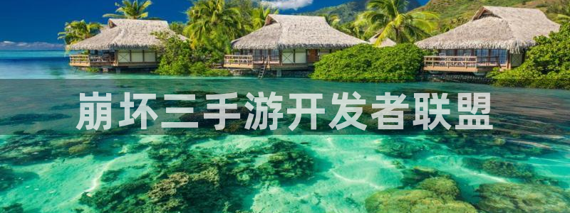 三牛娱乐测速系统：崩坏三手游开发者联盟