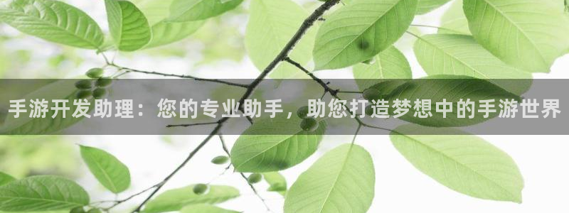 三牛娱乐如何注册：手游开发助理：您的专业助手，助您打造梦想中