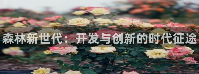 三牛娱乐：森林新世代：开发与创新的时代征途