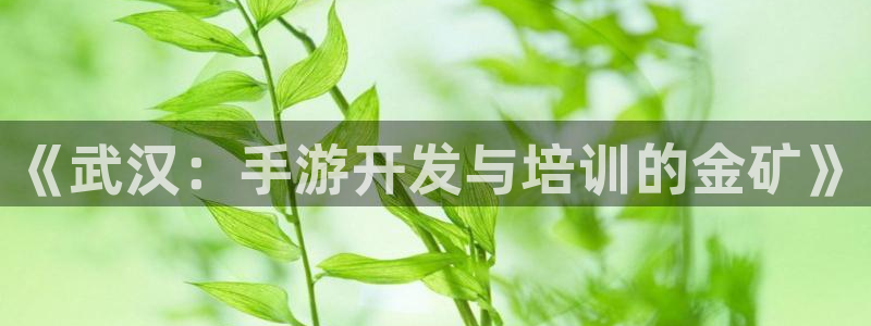 三牛娱乐如何注册：《武汉：手游开发与培训的金矿》