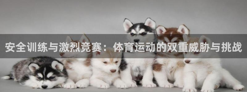 ug环球官网登录入口