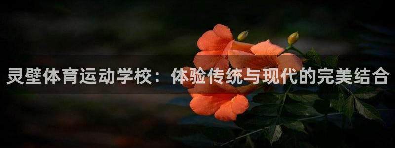 ug环球官网