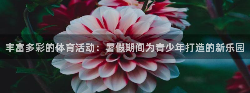 ug环球官网