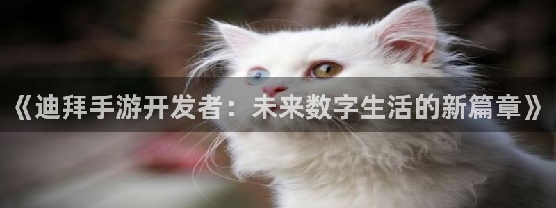 三牛娱乐管网怎么样：《迪拜手游开发者：未来数字生活的新篇章》